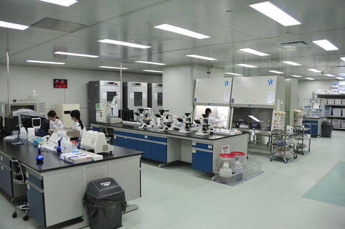 企业拔节开花，兰州战略性新兴产业占比持续提升